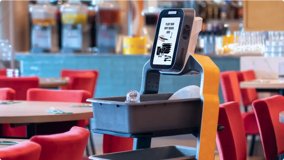 保持整洁舒适的用餐环境