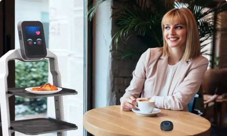 robot-restaurants-in-the-us.jpg